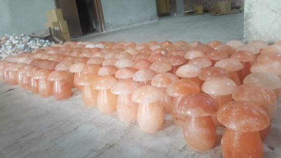 himalayan crafted mushroom lamp factory view